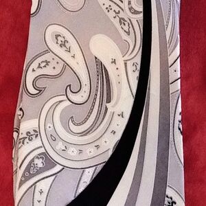 Silk Tie by Stacy Adams Elegant Paisley and Stripe Scarf